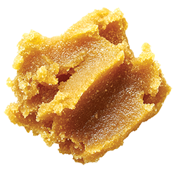 Close-up of a golden, crumbly cannabis extract concentrate with a thick, waxy texture